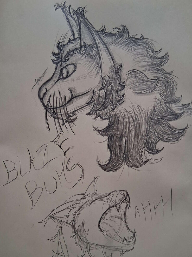 Personal sketches